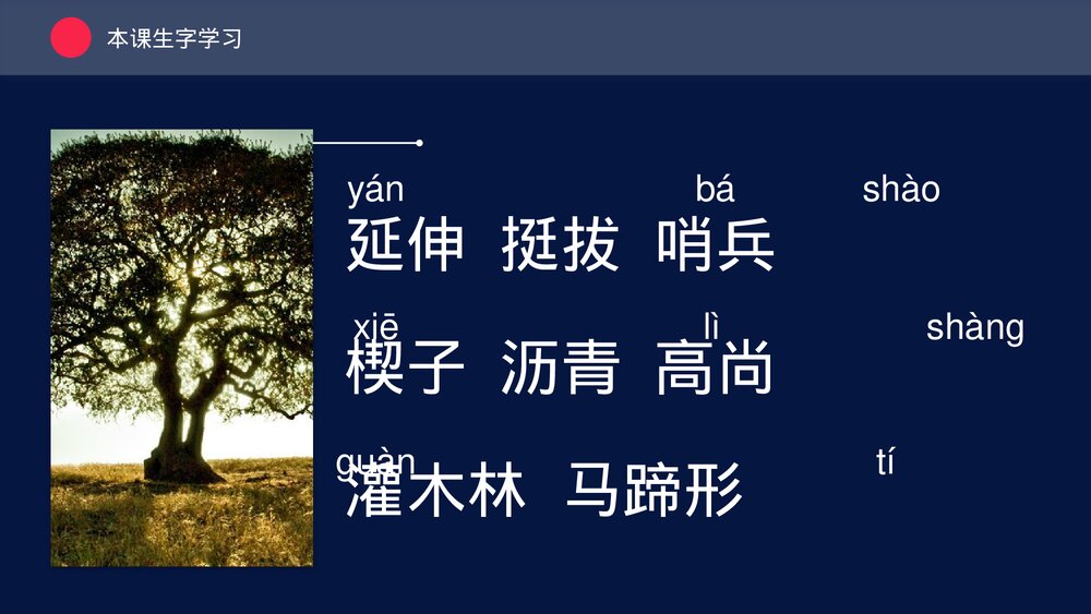 人教版三年级《路旁的橡树》教育教学PPT课件3