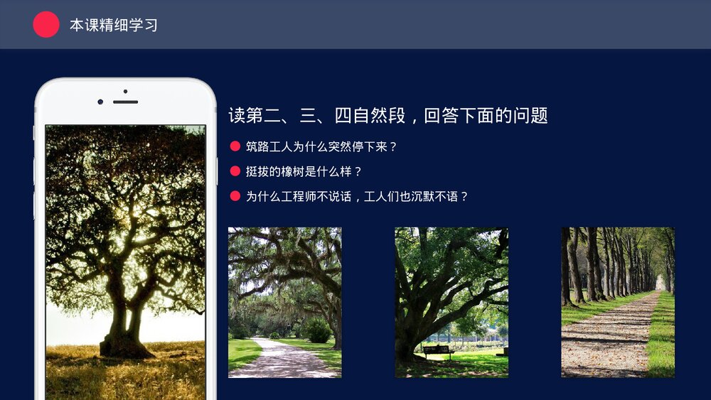 人教版三年级《路旁的橡树》教育教学PPT课件5