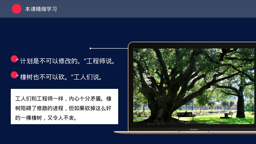 人教版三年级《路旁的橡树》教育教学PPT课件7