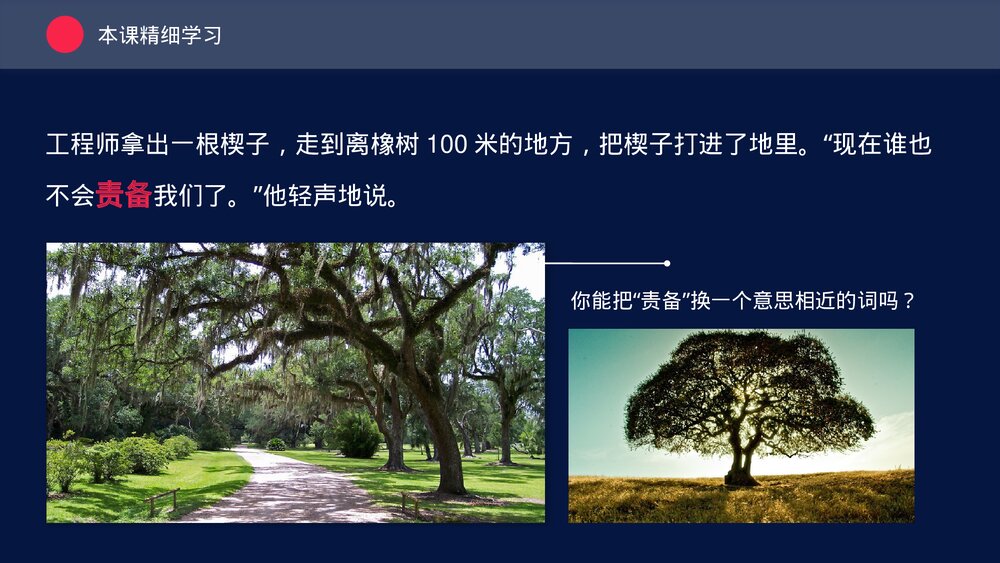 人教版三年级《路旁的橡树》教育教学PPT课件8