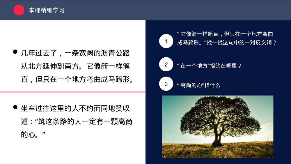 人教版三年级《路旁的橡树》教育教学PPT课件9