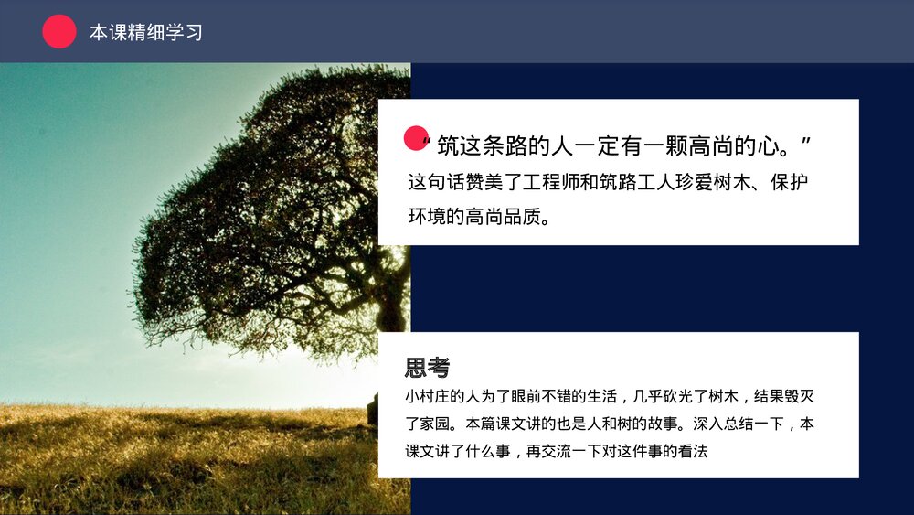 人教版三年级《路旁的橡树》教育教学PPT课件10