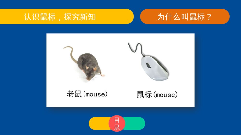 四年级信息技术上册第四课《鼠标的操作》教育教学PPT课件3