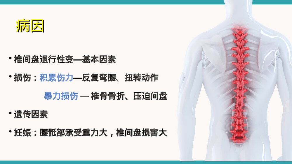 腰椎间盘突出症微创治疗与护理措施PPT课件下载5