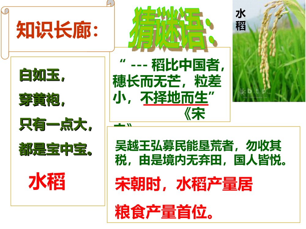 七年级历史下册《第9课 宋代经济的发展》教学PPT课件6