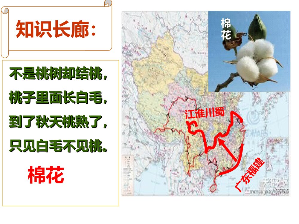 七年级历史下册《第9课 宋代经济的发展》教学PPT课件7