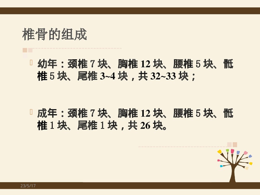 脊柱侧弯矫形术手术配合方法PPT课件(共37页)3