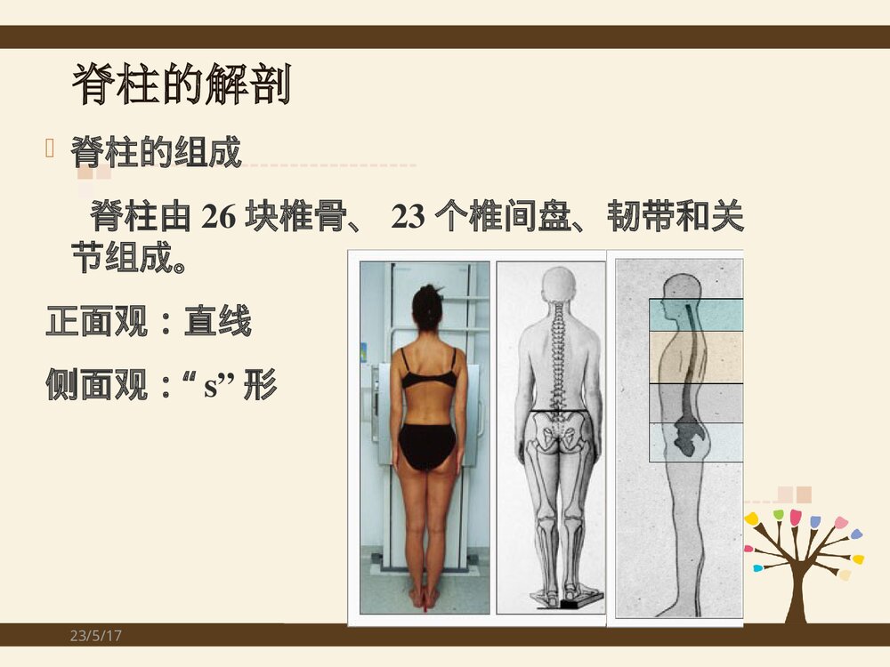 脊柱侧弯矫形术手术配合方法PPT课件(共37页)7