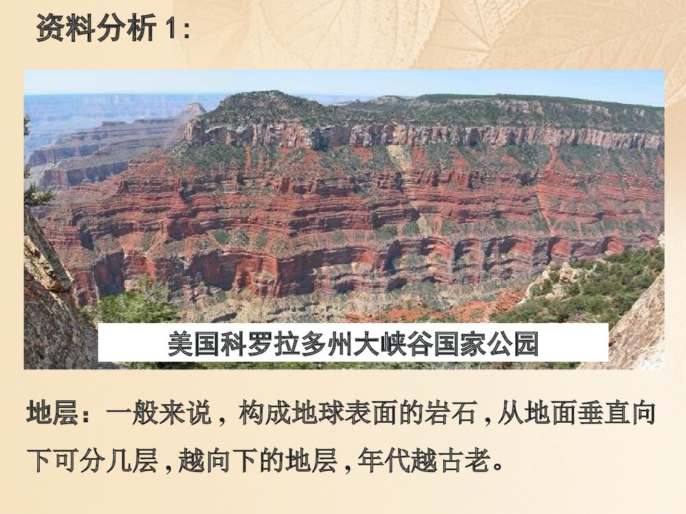 浙科版历史必修2《第五章生物的进化第三节探索生物进化的历史课件》教学PPT课件6