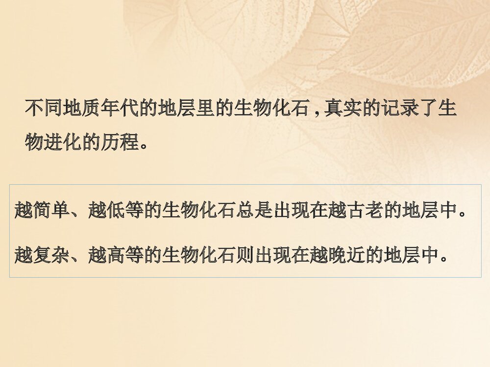 浙科版历史必修2《第五章生物的进化第三节探索生物进化的历史课件》教学PPT课件7