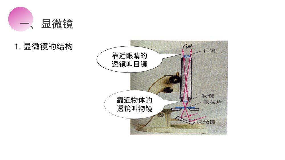 人教版八年级物理上册《显微镜和望远镜》教学PPT课件5