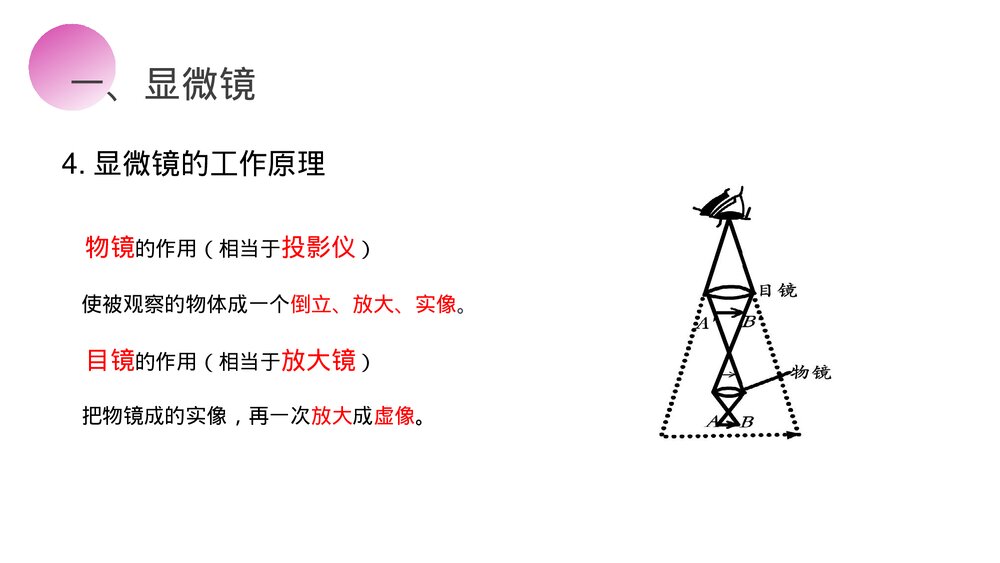 人教版八年级物理上册《显微镜和望远镜》教学PPT课件8