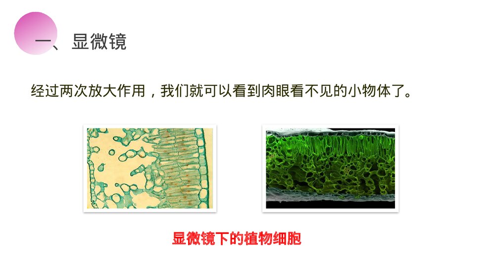 人教版八年级物理上册《显微镜和望远镜》教学PPT课件9