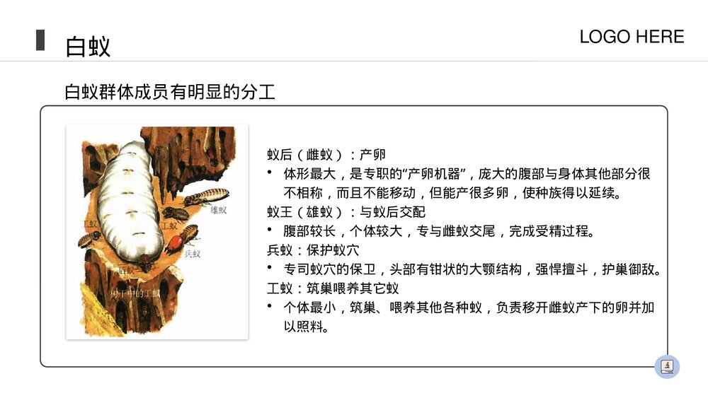 人教版八年级生物上册《社会行为》PPT课件(第5.2.3课时)3