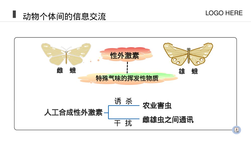 人教版八年级生物上册《社会行为》PPT课件(第5.2.3课时)9