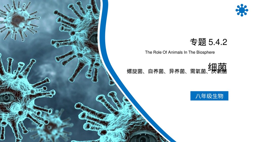 八年级生物上册《细菌》PPT课件（第5.4.2课时）1