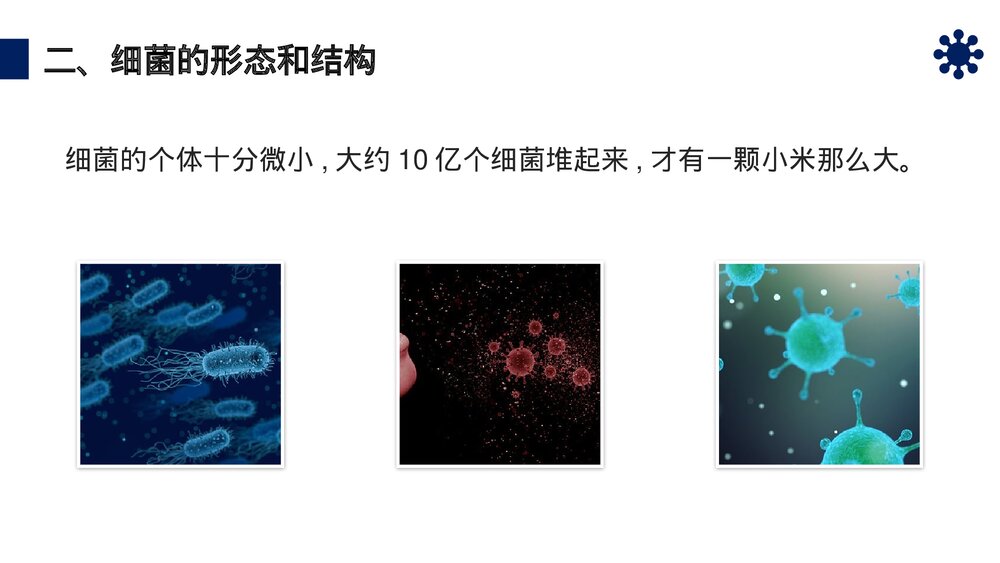 八年级生物上册《细菌》PPT课件（第5.4.2课时）8