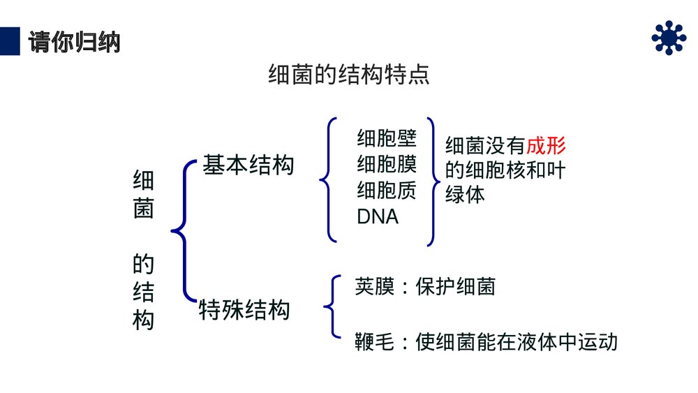 八年级生物上册《细菌》PPT课件（第5.4.2课时）9