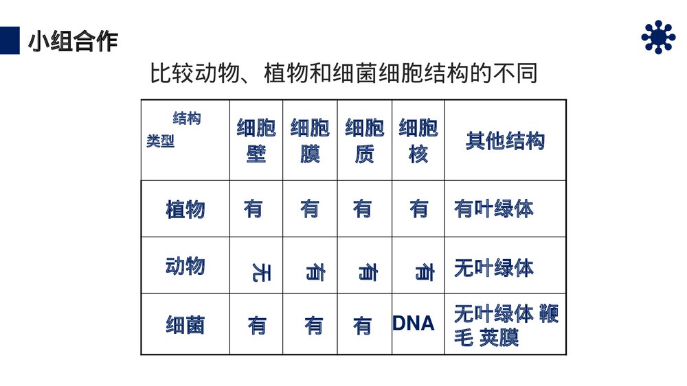 八年级生物上册《细菌》PPT课件（第5.4.2课时）10