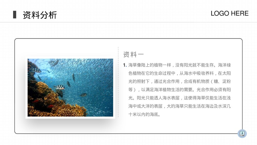 人教版八年级生物上册《腔肠动物和扁形动物》PPT课件(第5.1.1课时)3