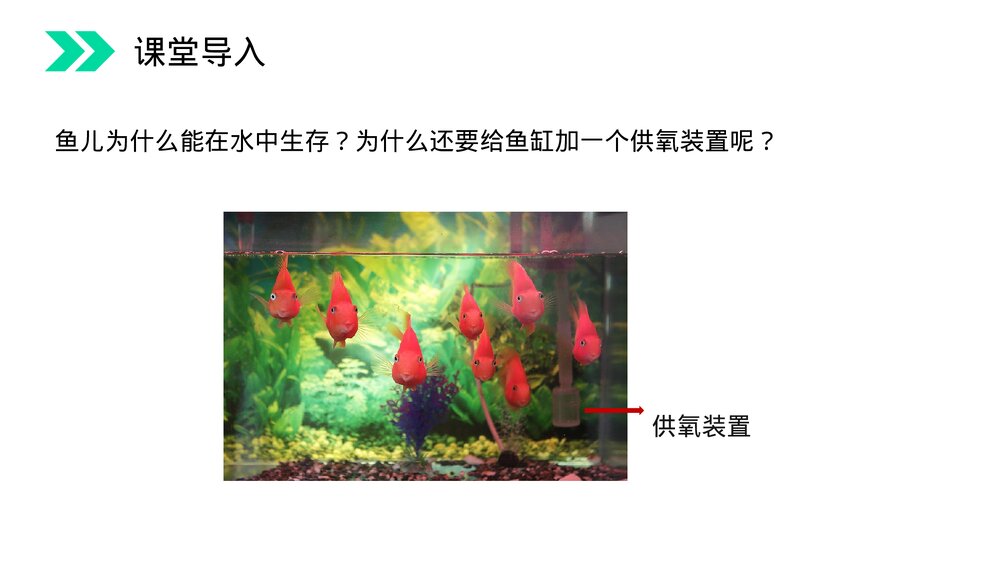 人教版初中化学九年级上册《氧气》PPT课件(第2.2.1课时)2