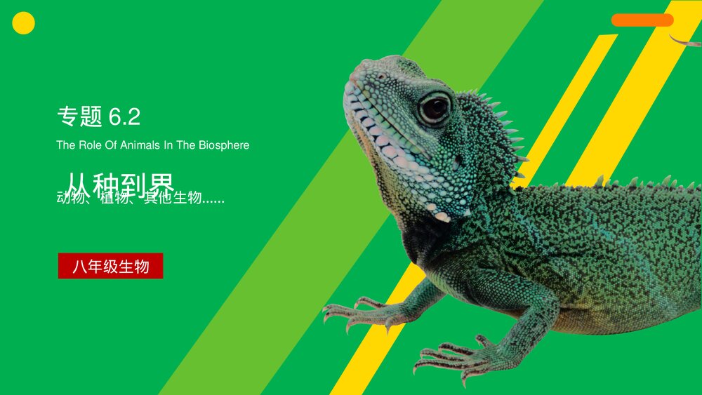 八年级生物上册《从种到界》PPT课件(第6.1.2课时)1