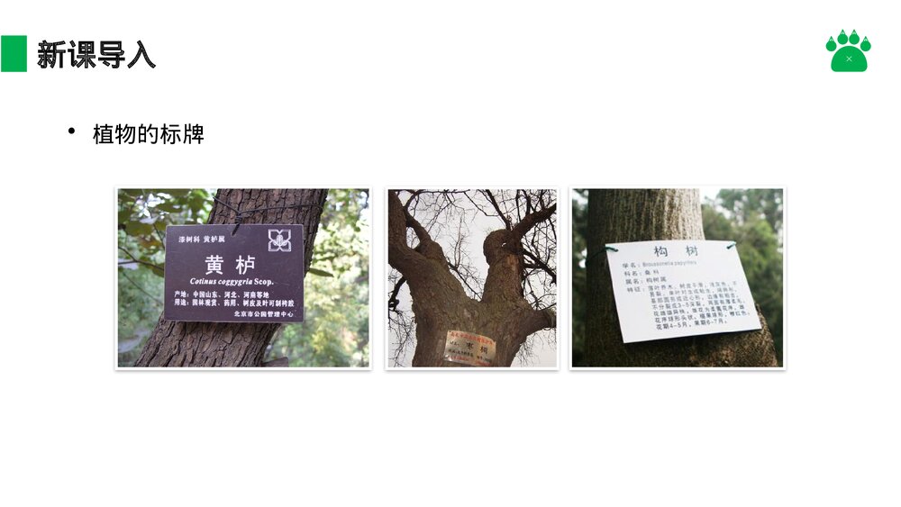 八年级生物上册《从种到界》PPT课件(第6.1.2课时)3