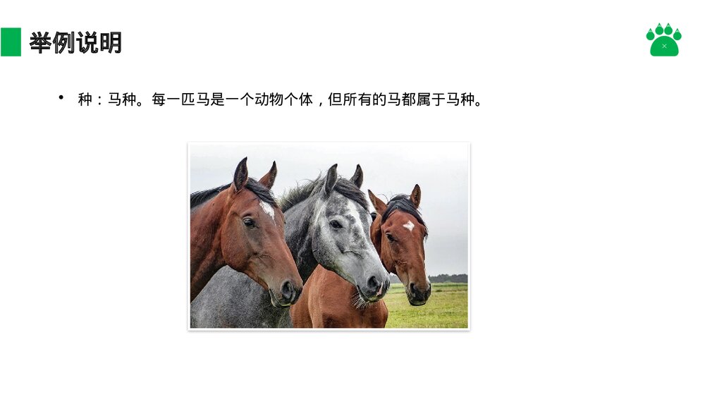 八年级生物上册《从种到界》PPT课件(第6.1.2课时)8