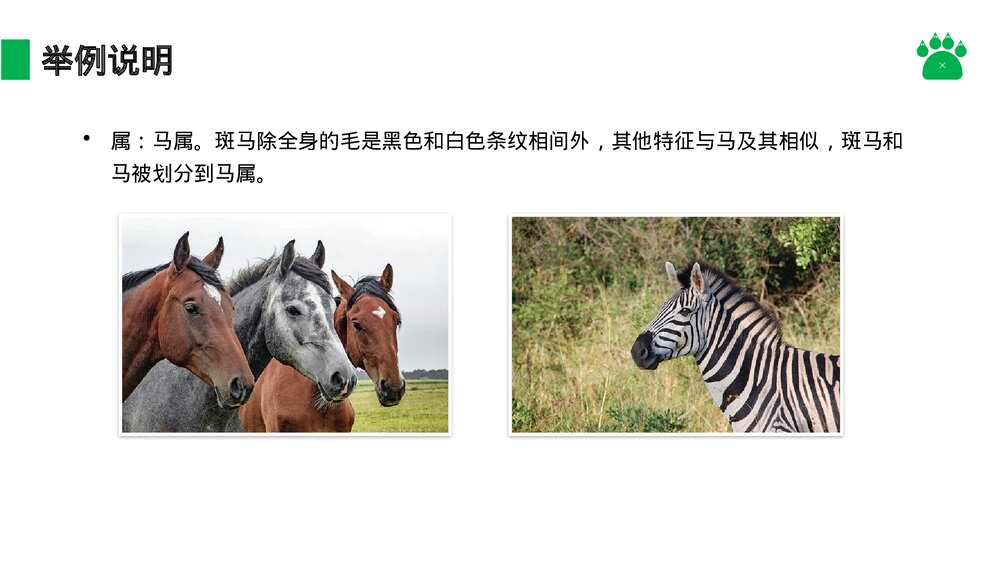 八年级生物上册《从种到界》PPT课件(第6.1.2课时)9