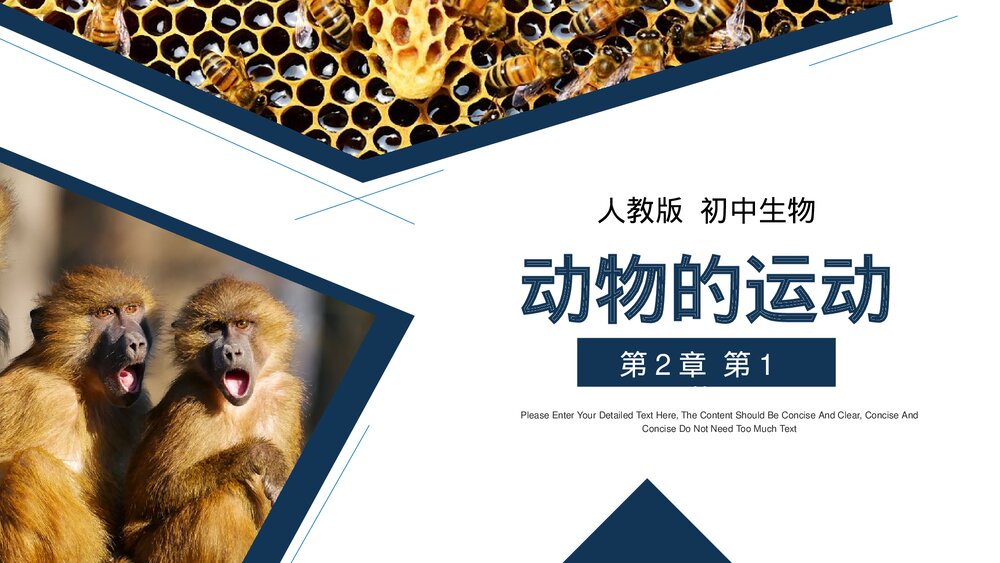 人教版八年级生物上册《动物的运动》PPT课件(第5.2.1课时)1