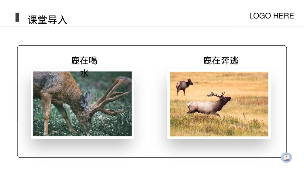 人教版八年级生物上册《动物的运动》PPT课件(第5.2.1课时)3