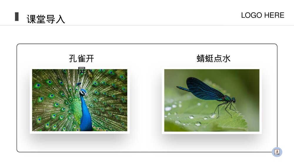 人教版八年级生物上册《动物的运动》PPT课件(第5.2.1课时)4