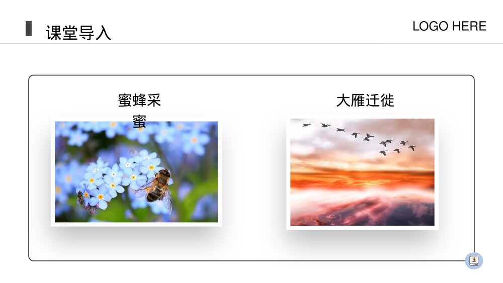 人教版八年级生物上册《动物的运动》PPT课件(第5.2.1课时)5