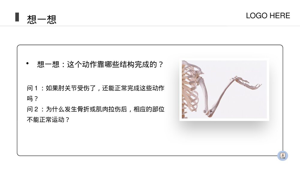 人教版八年级生物上册《动物的运动》PPT课件(第5.2.1课时)8