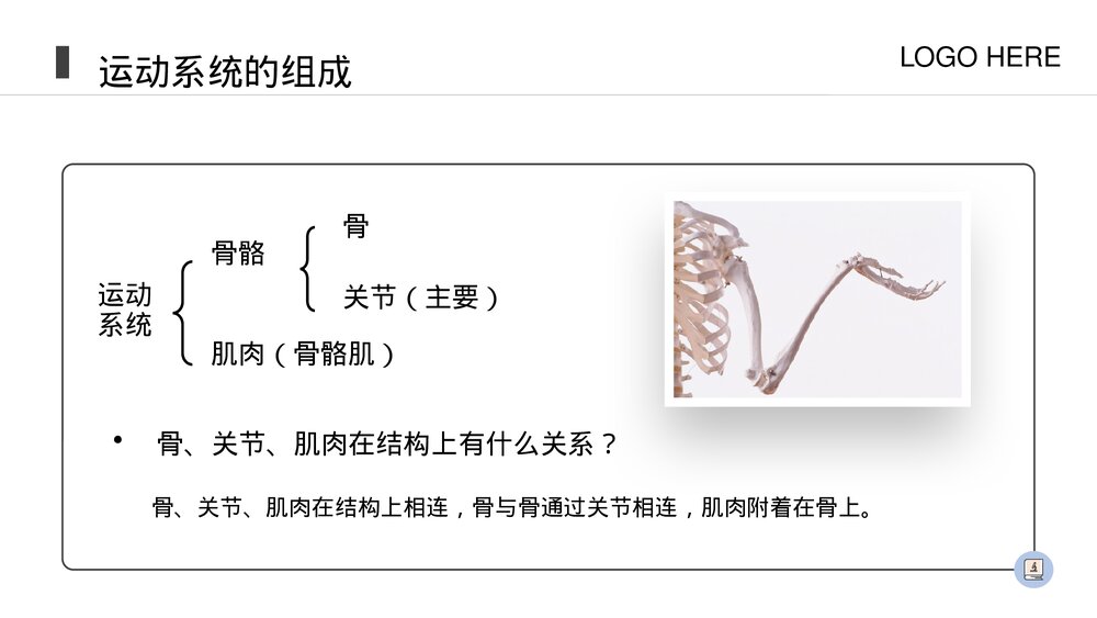 人教版八年级生物上册《动物的运动》PPT课件(第5.2.1课时)9