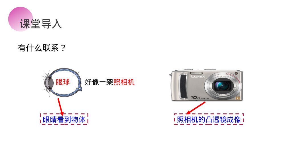 人教版八年级物理上册《眼睛和眼镜》教学PPT课件2