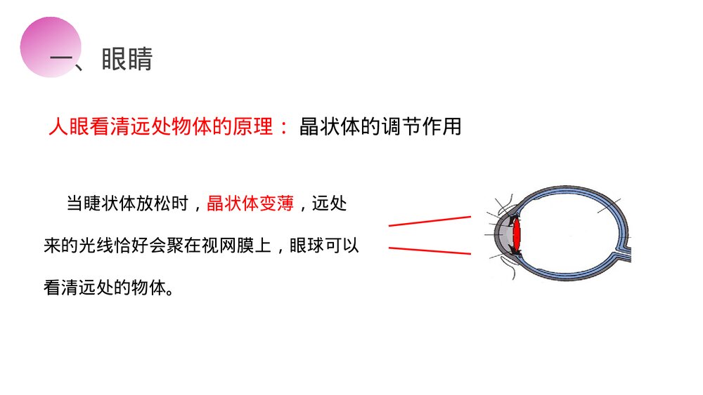 人教版八年级物理上册《眼睛和眼镜》教学PPT课件6