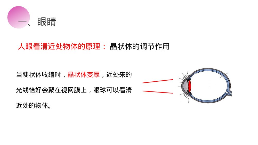 人教版八年级物理上册《眼睛和眼镜》教学PPT课件7
