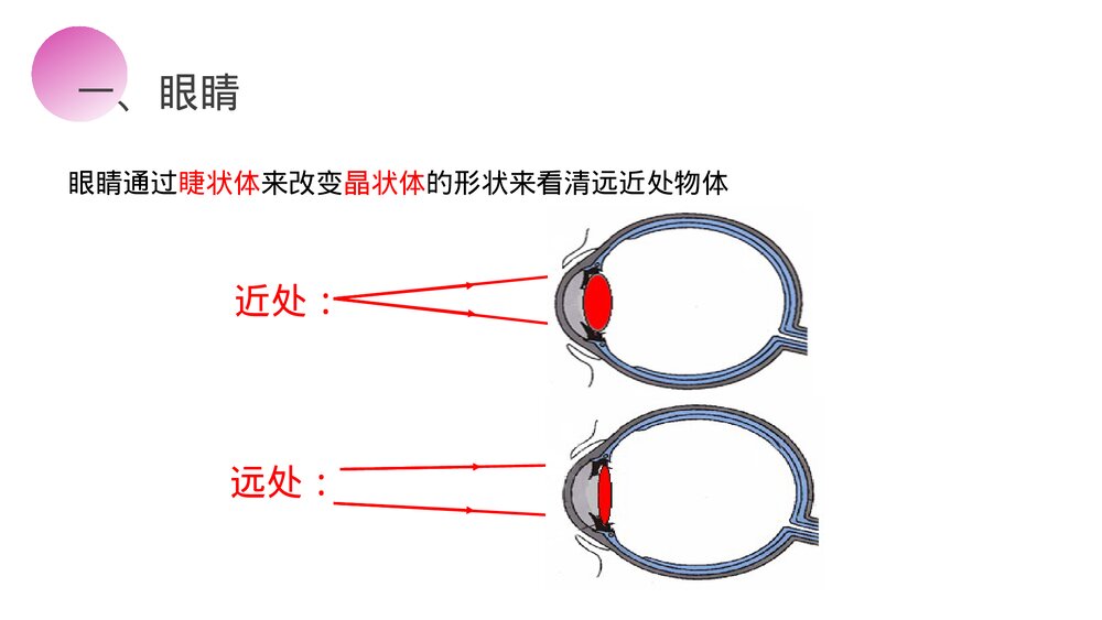 人教版八年级物理上册《眼睛和眼镜》教学PPT课件8