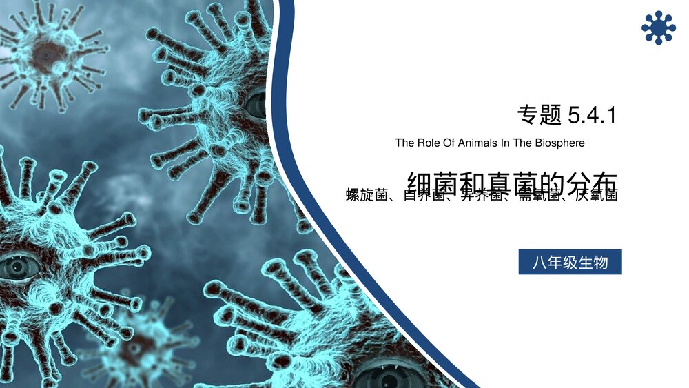 八年级生物上册《细菌和真菌的分布》PPT课件（第5.4.1课时）1