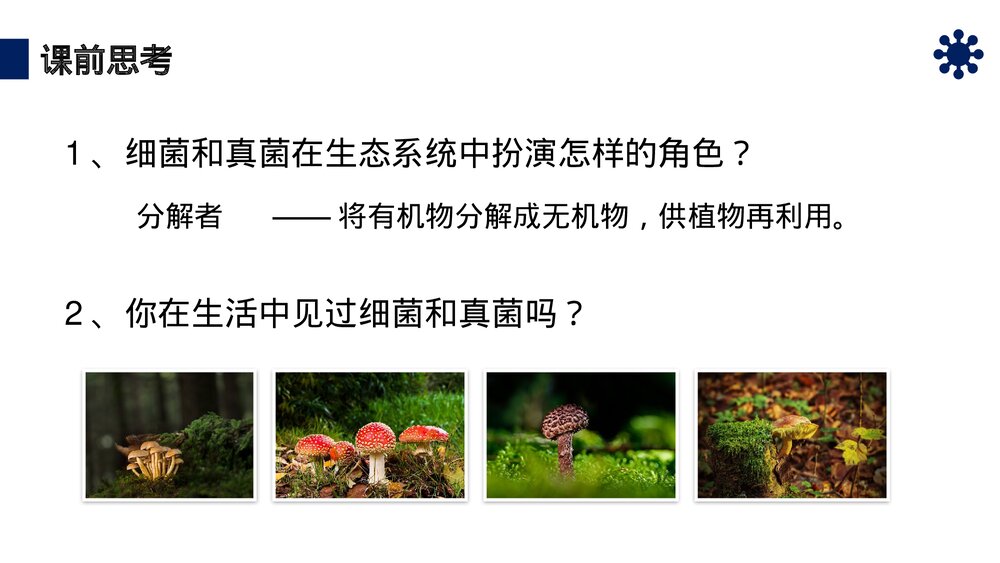 八年级生物上册《细菌和真菌的分布》PPT课件（第5.4.1课时）3