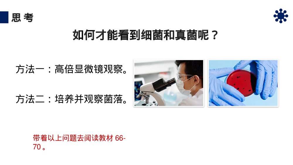 八年级生物上册《细菌和真菌的分布》PPT课件（第5.4.1课时）5