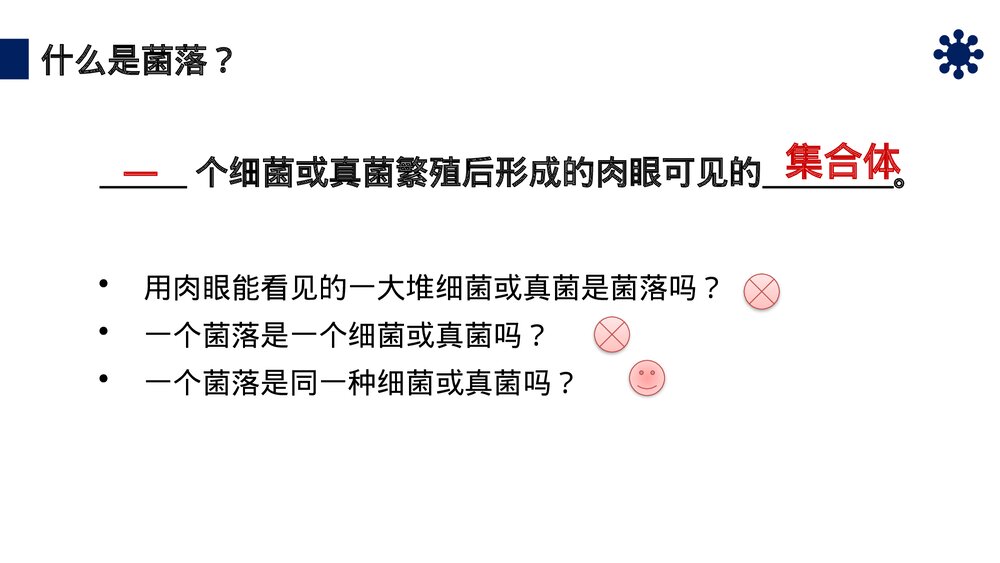 八年级生物上册《细菌和真菌的分布》PPT课件（第5.4.1课时）6