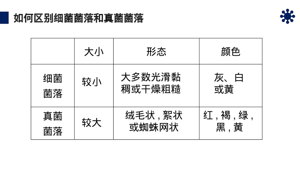 八年级生物上册《细菌和真菌的分布》PPT课件（第5.4.1课时）7