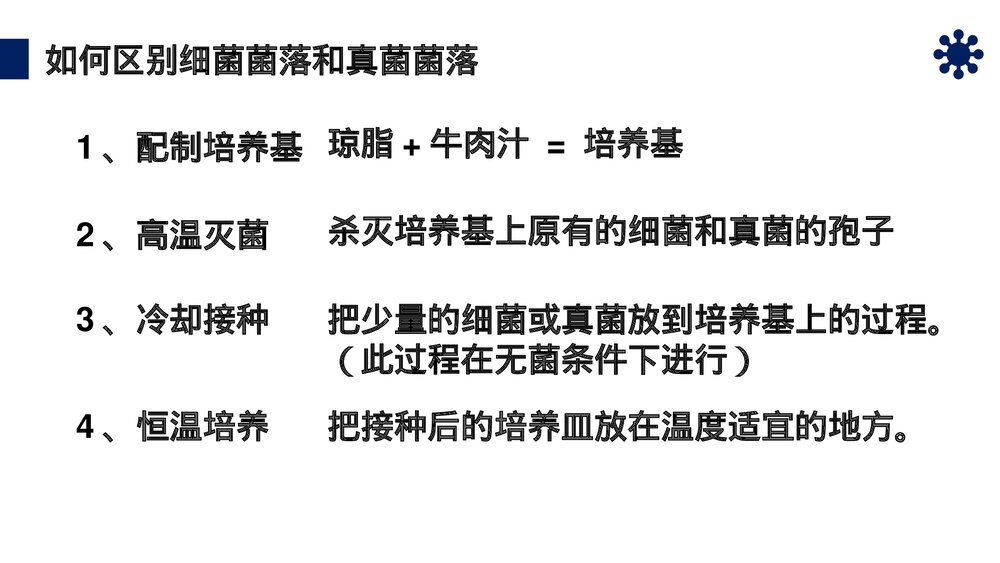 八年级生物上册《细菌和真菌的分布》PPT课件（第5.4.1课时）8
