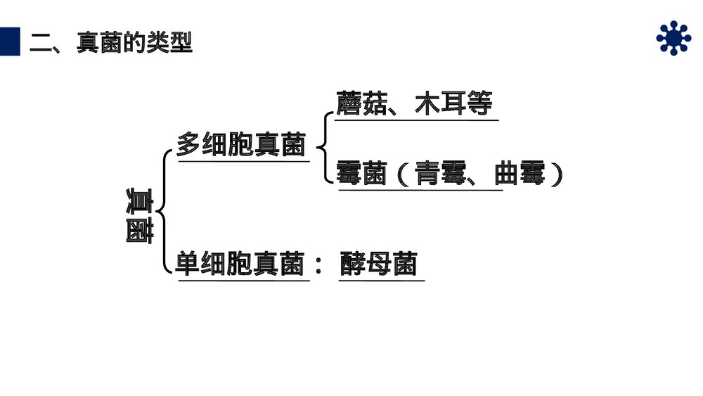 八年级生物上册《真菌》PPT课件(第5.4.3课时)8