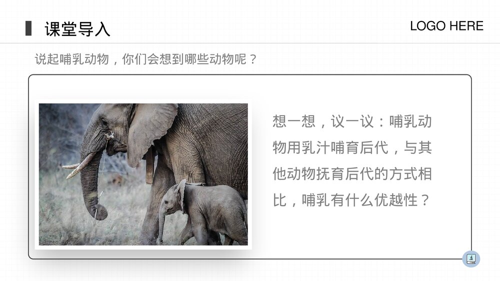 人教版八年级生物上册《哺乳动物》PPT课件(第5.1.7课时)3