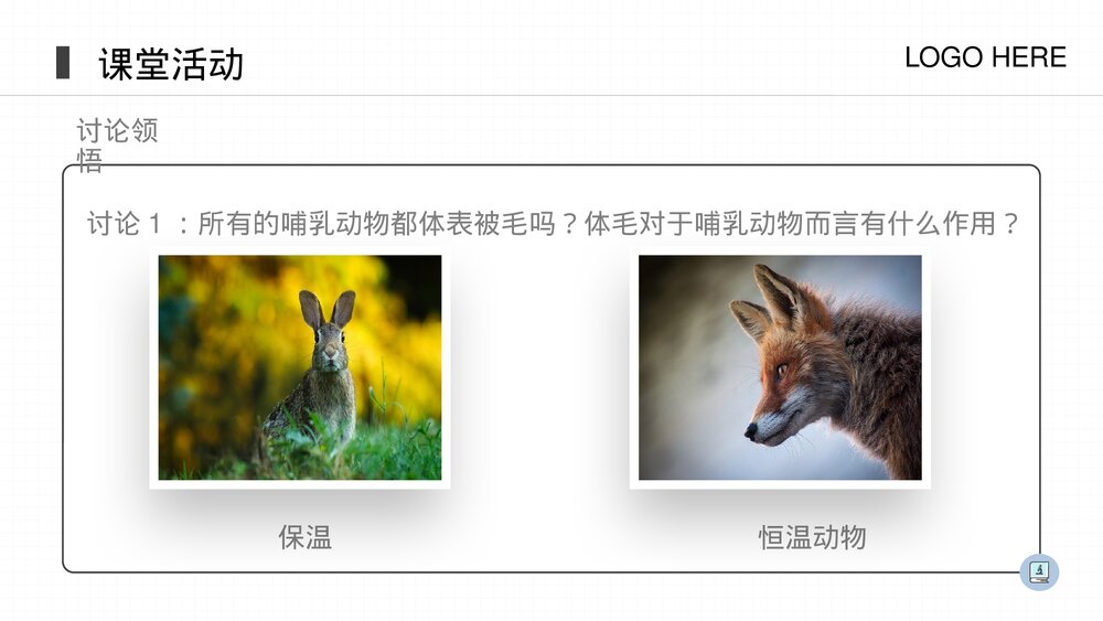 人教版八年级生物上册《哺乳动物》PPT课件(第5.1.7课时)5