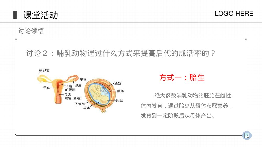 人教版八年级生物上册《哺乳动物》PPT课件(第5.1.7课时)6