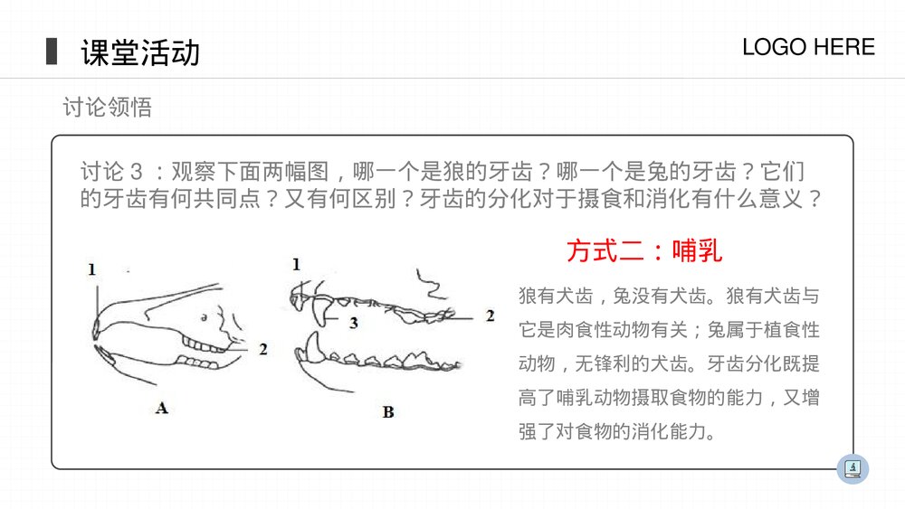 人教版八年级生物上册《哺乳动物》PPT课件(第5.1.7课时)8